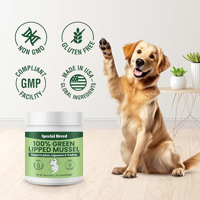 Green Lipped Mussel Powder for Dogs &amp; Cats - 100% New Zealand Green Lipped Mussels - Natural Hip &amp; Joint Supplement for Joints, Tendons, Ligaments, Muscles - 75 Grams - Up to 250 Servings