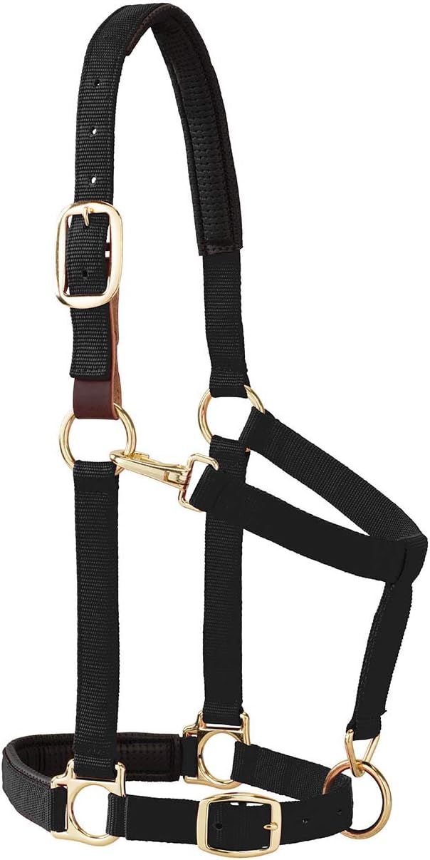 Weaver Equine Breakaway Horse Halter, Comfort Foam Padding, Adjustable Chin &amp; Throat Snap Halters for Horses, Equine Tack,Average Size