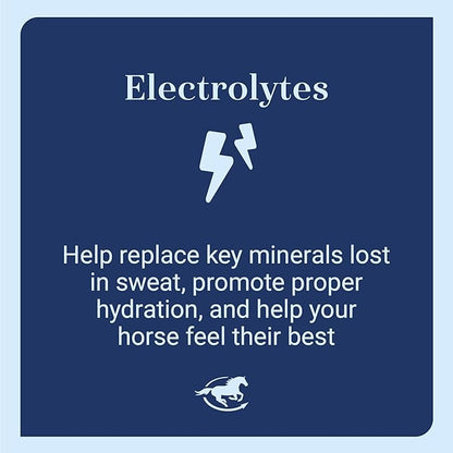 SmartLytes Horse Electrolyte Powder Supplement | Encourages Hydration, Replenishes Electrolytes | No Added Sugar | Cherry Flavor | 56 Servings | 3.5 lb Bucket