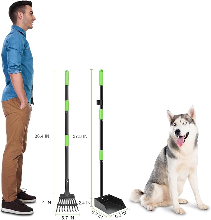 Non-Breakable Pooper Scooper, Dog Pooper Scooper Tray &amp; Rake Set with Adjustable Stainless Steel Long Handle for Large Medium Small Dogs (Green)