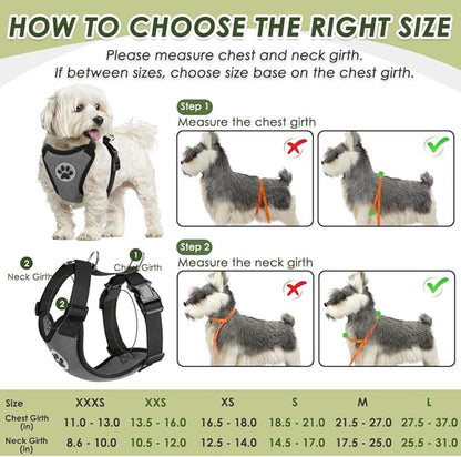SlowTon Dog Seat Belt Harness for Car, Dog Car Harness Adjustable Mesh Breathable &amp; Dog Seatbelt Safety Tether with Elastic Bungee for Small Medium Large Pets(Grey, Double Clip, XXS)