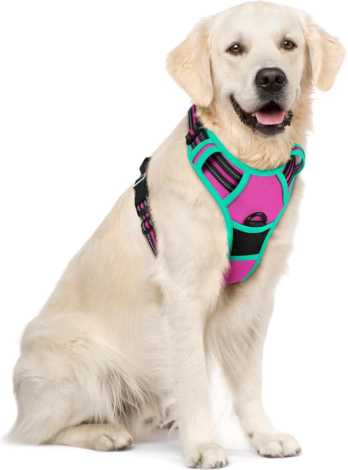 rabbitgoo Dog Harness No Pull with 2 Leash Clips, Adjustable Soft Padded, Reflective Oxford No Choke Pet Vest with Easy Control Handle for Large Dogs, Hot Pink &amp; Turquoise, XL