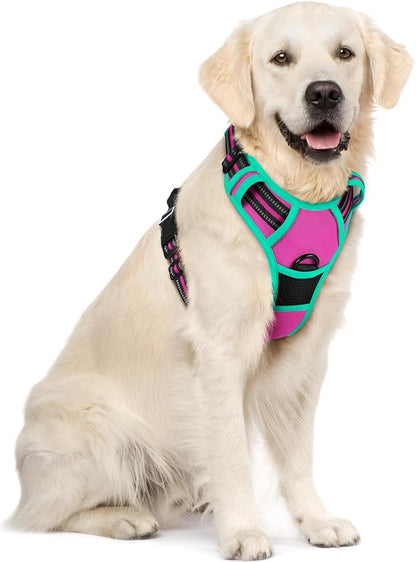 rabbitgoo Dog Harness No Pull with 2 Leash Clips, Adjustable Soft Padded, Reflective Oxford No Choke Pet Vest with Easy Control Handle for Large Dogs, Hot Pink &amp; Turquoise, XL