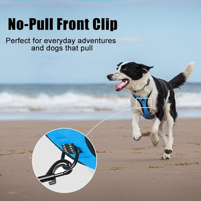 PoyPet No Pull Dog Harness, Reflective Comfortable Vest Harness with Front &amp; Back 2 Leash Attachments and Easy Control Handle Adjustable Soft Padded Pet Vest for Small to Large Dogs (Blue,XS)