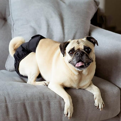 Pet Parents® Washable Dog Diapers (3pack) + Extendrs® of Durable Doggie Diapers, Premium Dog Diapers Female &amp; Male (Small, Black)