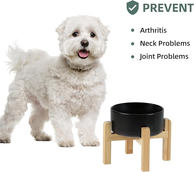 Ceramic Raised Dog and Cat Bowl Set, 2 Heights Elevated Stand, Food and Water Bowl for Small Breed Dogs, Weighted Dog Dishes, Pet Bowl(6.1&