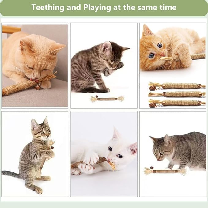 5 PCS Silvervine Sticks for Cats - Natural Cat Chew Toys for Teeth Cleaning, Kitten Teething &amp; Aggressive Chewers