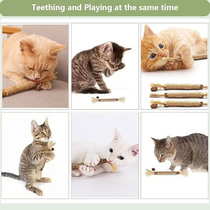 5 PCS Silvervine Sticks for Cats - Natural Cat Chew Toys for Teeth Cleaning, Kitten Teething &amp; Aggressive Chewers