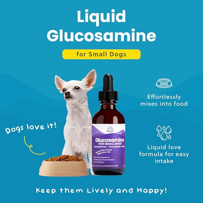 Liquid Glucosamine for Small Dogs, 260mg Glucosamine Liquid for Dogs Joint Supplement for Mobility &amp; Comfort, Easy-to-Use Liquid MSM &amp; Chondroitin, 2 oz