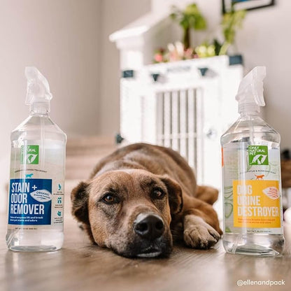 Only Natural Pet Enzyme Powered Stain &amp; Odor Eliminator - Professional Pet Urine Pee Cleaner Deodorizer For Dogs - Hardwood Floors Carpets Upholstery - Fresh Mandarin Orange &amp; Green Tea Scent - 32Floz