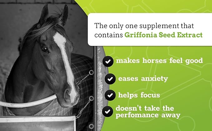 SynChill Oral Horse Calming Gel, 100% Natural &amp; Nutritional Supplement, Lab Proven Results, Designed for Focus &amp; Performance, Approved by Olympic Professionals &amp; Veterinarians, Made in USA - 3-Pack