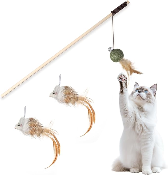 Cat Feather Toys with Catnip Ball, Feathers &amp; Bell - 2 Replaceable Mouse Heads, Elastic Rope &amp; Wooden Handle for Aggressive Kittens, Durable Bite-Proof Interactive Cat Teaser for Indoor Play