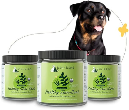 kin+kind Organic Multivitamin for Dogs &amp; Cats - Pet Supplement for Healthy Skin and Coat - Safe, Natural Formula with Wheatgrass, Kelp, Seaweed and Coconut - Made in USA - Bundle (3 x 8 oz)