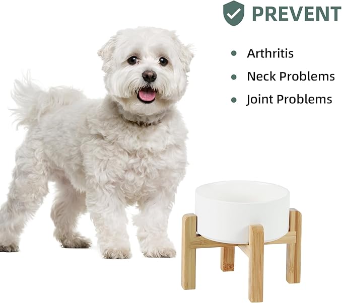 Ceramic Raised Dog and Cat Bowl Set, 2 Heights Elevated Stand, Food and Water Bowl for Small Breed Dogs, Weighted Dog Dishes, Pet Bowl(6.1&