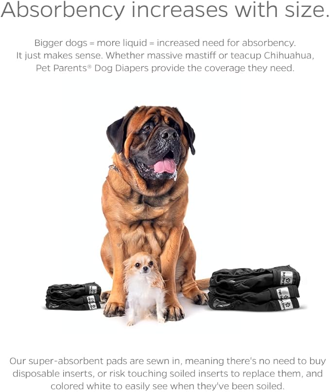 Pet Parents® Washable Dog Diapers (3pack) + Extendrs® of Durable Doggie Diapers, Premium Dog Diapers Female &amp; Male (Small, Black)