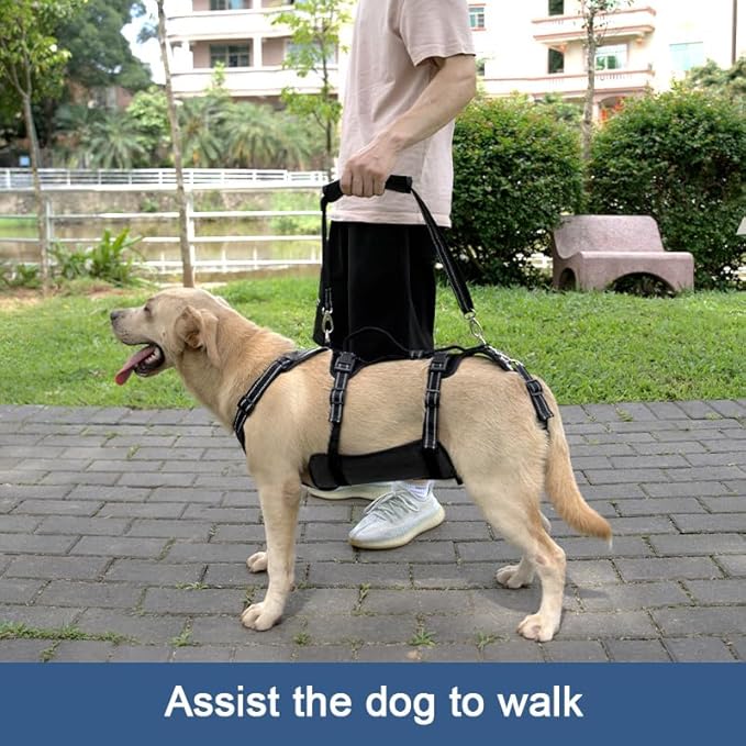 Coodeo Dog Lift Harness, Support &amp; Recovery Sling, Pet Rehabilitation Lifts Vest Adjustable Breathable Straps for Old, Disabled, Joint Injuries, Arthritis, Paralysis Dogs Walk (Black,XL)