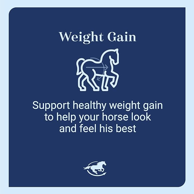 Smart &amp; Simple 99% Fat | Horse Weight Gain Supplement Supports Ideal Body Condition in Horses | Easy to Use &amp; Tasty High Fat Supplement Powder | 112 Servings | 14 lb Bag
