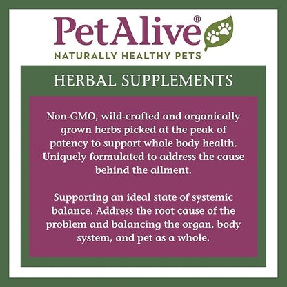 PetAlive Pancreas Booster - All Natural Herbal Supplement for Pancreatic Health and Digestive Functioning in Cats and Dogs - Supports Healthy Insulin Production - 60 Veggie Caps