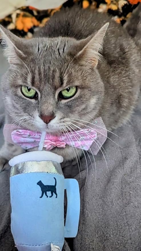Kitty Cup Tumbler Cat Toy – Funny Cat Birthday Gifts with Catnip &amp; Crinkle Paper, Cute Girl Kitten Toys (Chambray Blue)