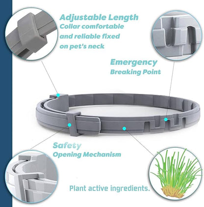 Natural Flea and Tick Collar for Puppies - 12-Month Protection, Safe Pest Control - Waterproof, Strong - Free Flea Comb and Tick Tweezer Included - 2-Pack, 13.8 Inches