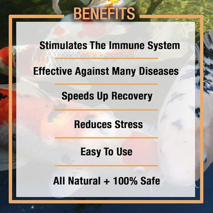 MICROBE-LIFT Sabbactisun Disease Treatment for Ponds and Outdoor Water Gardens, Disease Expellant for Pond Fish, 32 Fl Oz