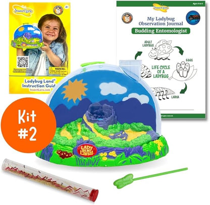Insect Lore Bug Camp Bundle | Butterfly Kit with 1 Cup Live Caterpillars | Ladybug Land with 1 Tube Live Larvae | Ant Mountain with 1 Tube Live Western Harvester Ants | Life Cycle Figurines &amp; More