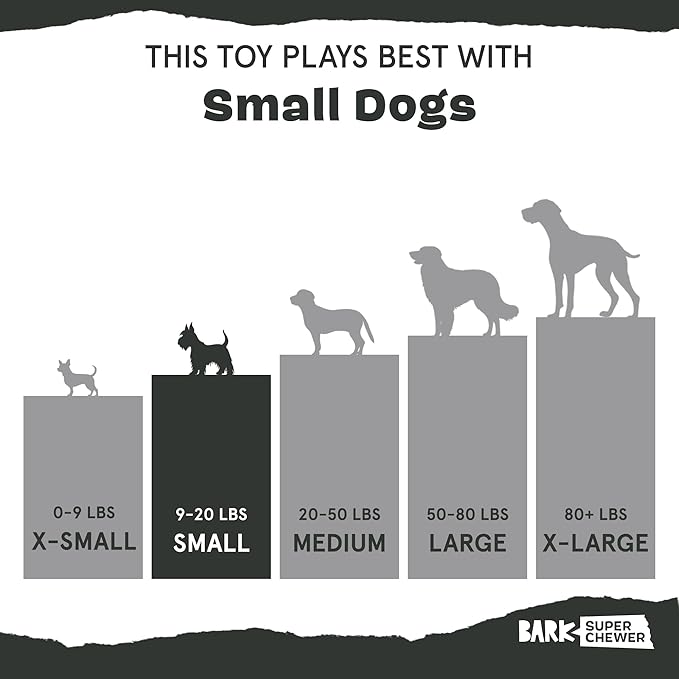 Barkbox Bear Hugger Dog Toy for Aggressive Chewers | 2-in-1 Plush &amp; Rubber Treat-Dispensing Toy for Small Dogs | Puppy Teething Toys &amp; Dog Toys to Keep Them Busy