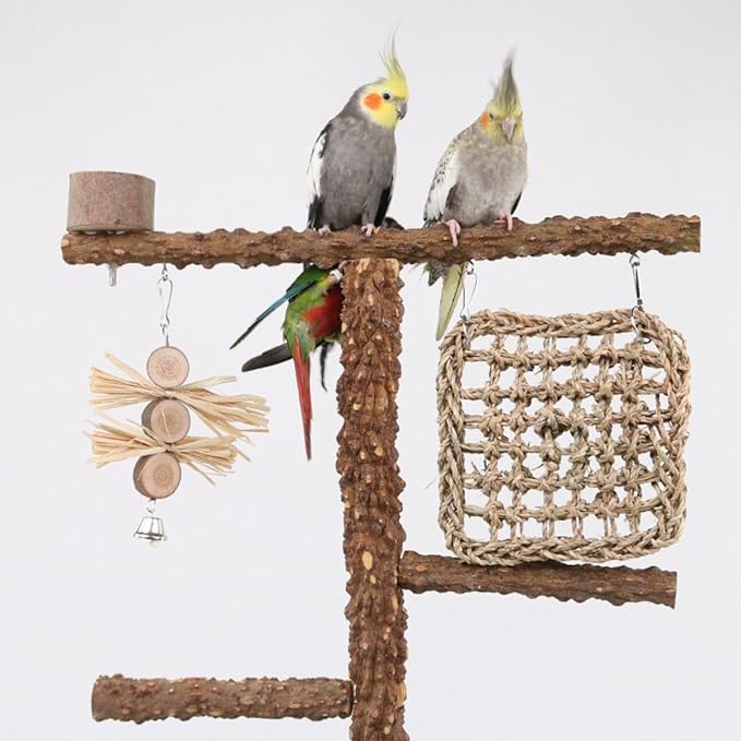 Natural Wood Parrot Stand - Ideal Toy &amp; Accessory for Parakeets, Canaries, Cockatiels, Conure, Lovebirds - Bird Perch Stand with Removable Tray Climbing Net Chewing Toys- Perfect Pet Birds Playstand