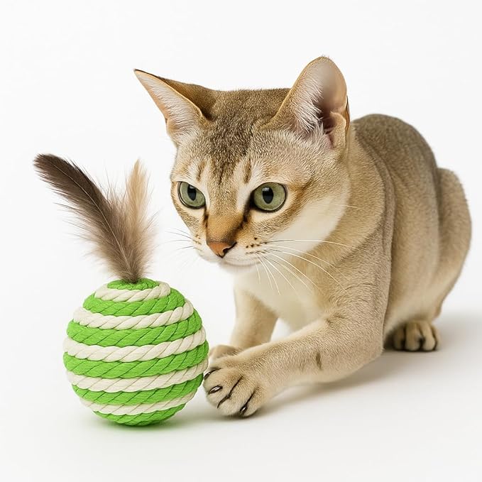 Ball for cat with Feathers - Balls for Cats– Natural Toy for Indoor Cats – Eco-Friendly, Durable, Interactive Play Balls for Kittens – Pet-Safe Chew &amp; Scratch Toys (Green)