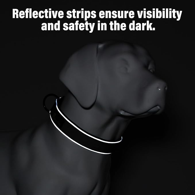 Plutus Pet Tactical Dog Collar, Reflective, Adjustable Heavy Duty Dog Collar, Soft Padded and Comfortable, for Small Medium and Large Dogs (Red, S)
