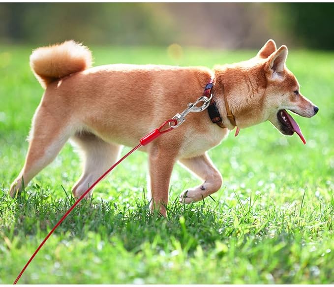 BV Dog Tie Out Cable 30 Feet - Heavy Duty Dog Lead Up to 125 Pounds - Reflective &amp; Rust-Free with Quick Release Swivel Clips &amp; 360° Rotating Clasp - Tangle-Free Dogs Runner for Yard (Red, Single)