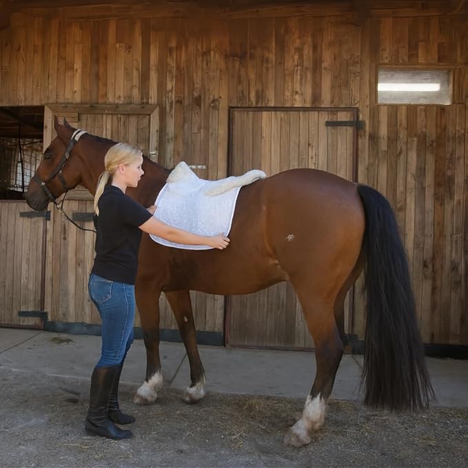 Woolous Dressage Saddle Pad, English Saddle Pad with Sheepskin Trim, Lambskin Wool Fleece Lining, Square Saddle Pad for Equestrian Riding, Comfortable &amp; Shock Absorbing
