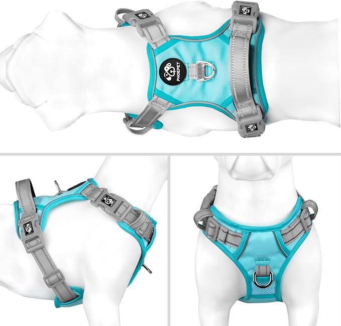 PHOEPET No Pull Dog Harness, Unique Colors Reflective Adjustable Dog Vest, with Soft Training Handle Metal Clips for Small Medium Large Dogs (Mint Green Base &amp; Grey Straps,XL)