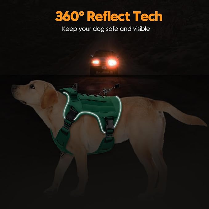 Heavy-Duty Tactical Dog Harness for Large Dogs, No Pull Adjustable Reflective Pet Vest with Molle System, K9 Military-Grade Control for Service Training, Outdoor &amp; 10+ Breeds, Turquoise, Large