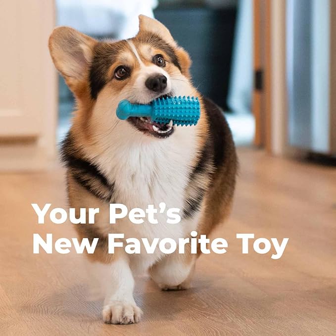 Oxyfresh Dog Dental Chew Toy - Best Durable Rubber Dog Toy for Tough Chewers – Helps Remove Plaque, Cleans Teeth &amp; Freshens Breath Without Brushing (Large)