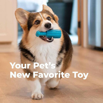 Oxyfresh Dog Dental Chew Toy - Best Durable Rubber Dog Toy &amp; Puppy Teething Toy - Helps Remove Plaque, Cleans Teeth &amp; Freshens Breath Without Brushing (Small)