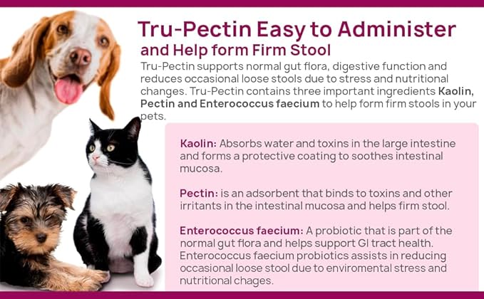 Tru-Pectin Anti-Diarrheal for Dogs &amp; Cats, 250 Tablets– Chicken Liver Flavor –Helps Reduce Occasional Loose Stool &amp; Diarrhea, Balance Gut pH, Support Normal Digestion &amp; Gut Flora -Made in USA