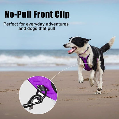 PoyPet No Pull Dog Harness, Reflective Comfortable Vest Harness with Front &amp; Back 2 Leash Attachments and Easy Control Handle Adjustable Soft Padded Pet Vest for Small to Large Dogs (Purple,M)