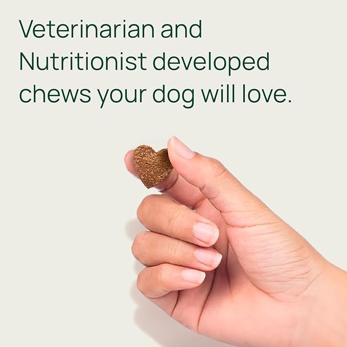 pawTree Joint &amp; Hip Support Supplement for Dogs &amp; Cats with Glucosamine, Chondroitin, MSM, Tumeric &amp; Green Lipped Mussels - Vitamins &amp; Health Essentials - All-Natural Mobility Soft Chews