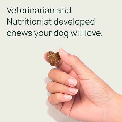 pawTree Joint &amp; Hip Support Supplement for Dogs &amp; Cats with Glucosamine, Chondroitin, MSM, Tumeric &amp; Green Lipped Mussels - Vitamins &amp; Health Essentials - All-Natural Mobility Soft Chews