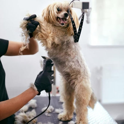 5PCS Dog Grooming Blades Compatible with Andis/Oster A5/Wahl KM Series Dog Clipper Blades Size: