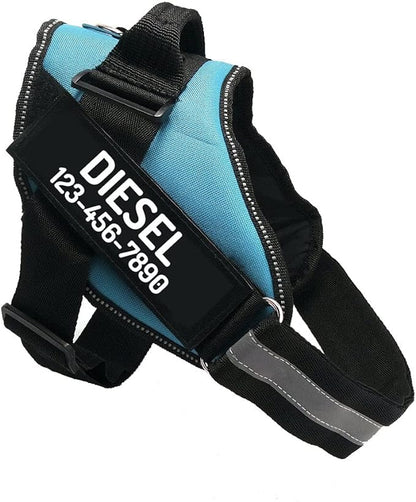 PawPawify Custom No Pull Dog Harness with Name and Phone Number, Heavy Duty Personalized Pet Vest to Prevent Tugging, Pulling, or Choking, Training and Walking (SkyBlue, M (20-40 LBS))