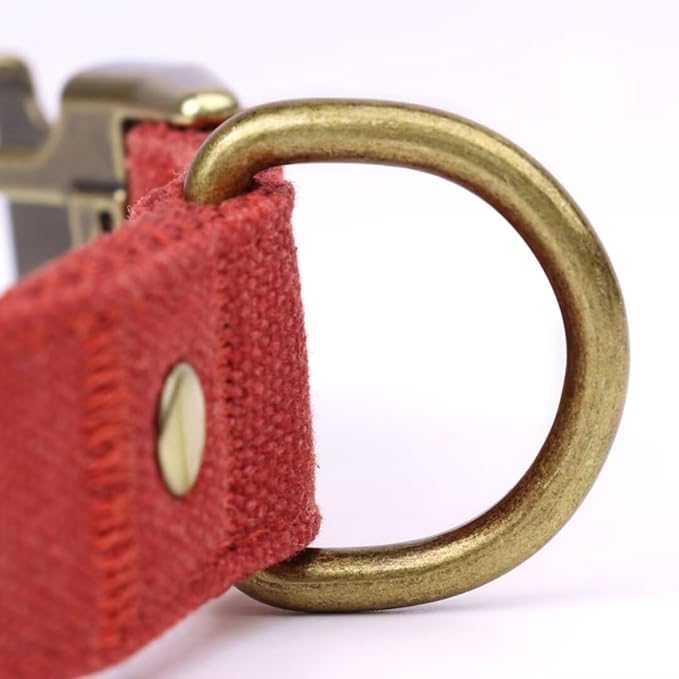 PET ARTIST Dog Collars for Medium Dogs, Soft Padded Premium Nylon Dog Collar with Quick Release Metal Buckle, Durable &amp; Adjustable Pet Collars for Girl Gifts, Red, M (Fit 13-20")