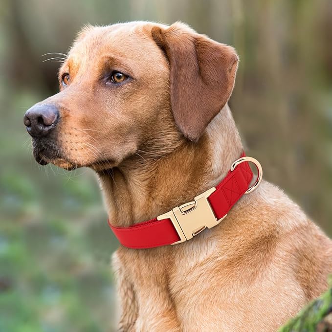 PET ARTIST Soft PU Leather Dog Collar, Bright &amp; Classic Red Dog Collar with Quick Release Rose Metal Buckle, Adjustable Nylon Padded Durable Pet Collars for Medium Dogs Girl, Neck Fit 13-19"