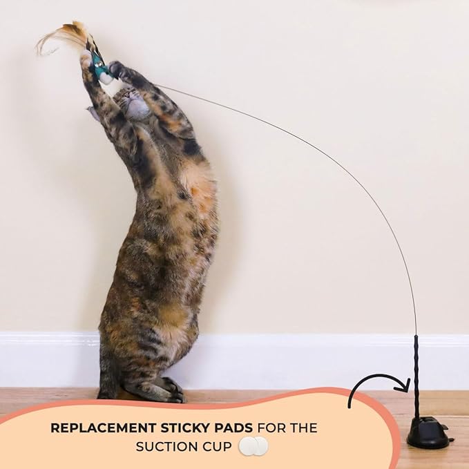 Interactive Catnip Bird Toy Set, Interactive Cat Toys for Indoor Cats, Cat Feather Toy, Suction Cup, Weighted Base, 5 Replacement Birds, Feathers &amp; Bells, Realistic Bird Impression