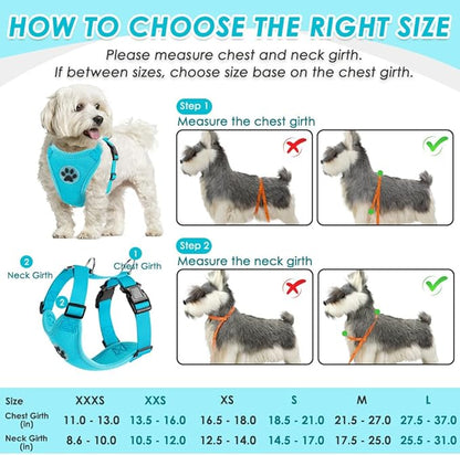 SlowTon Dog Seat Belt Harness for Car, Dog Car Harness Adjustable Mesh Breathable &amp; Dog Seatbelt Safety Tether with Elastic Bungee for Small Medium Large Pets(Light Blue, Double Clip, XXS)
