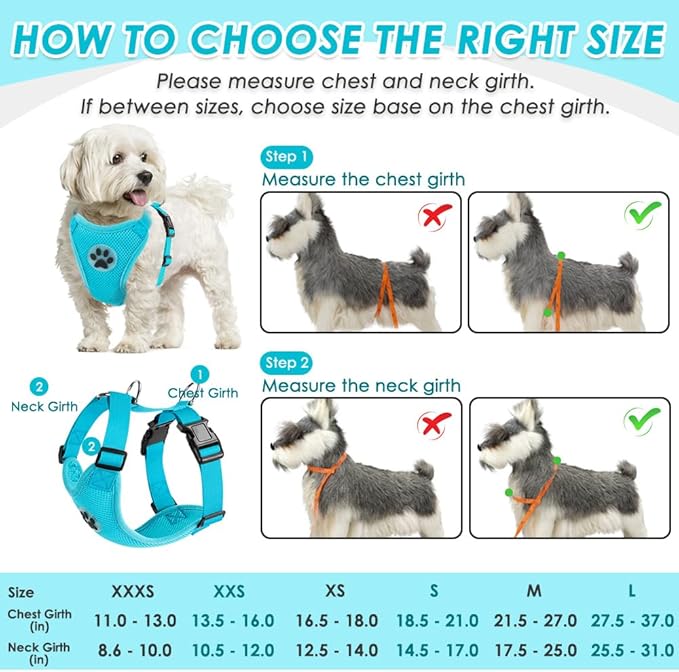 SlowTon Dog Seat Belt Harness for Car, Dog Car Harness Adjustable Mesh Breathable &amp; Dog Seatbelt Safety Tether with Elastic Bungee for Small Medium Large Pets(Light Blue, Double Clip, XXXS)