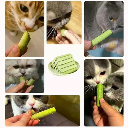 Cat Grass Teething Sticks for Hairball Removal &amp; Teeth Cleaning, Chicken Flavored, Natural Dental Treats for Indoor Cats
