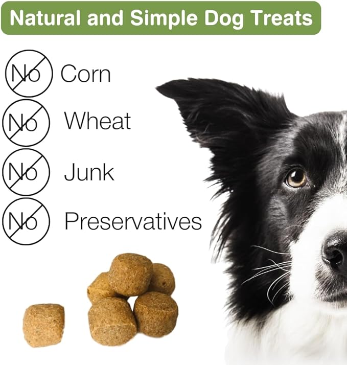 Peanut Butter &amp; Carob Chips Dog Treats – Healthy, Crunchy, Vegan Biscuits with Whole &amp; Real Ingredients – All Natural &amp; USA‐Baked, (7 Ounce, Pack of 3)