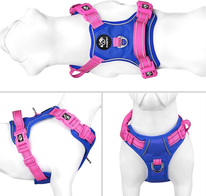 PHOEPET No Pull Dog Harness, Unique Colors Reflective Adjustable Dog Vest, with Soft Training Handle Metal Clips for Small Medium Large Dogs (Royal Blue Base &amp; Pink Straps,L)